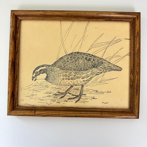 Richard A Parks Framed Bird Quail Illustratiion Illustrated Signed By Artist - Picture 1 of 7
